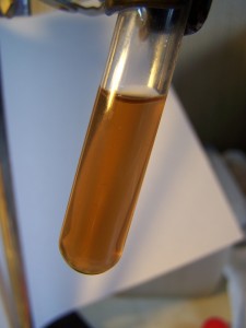 The oral sample after it has been subjected to a process of alkalizing, heating and filtration. 