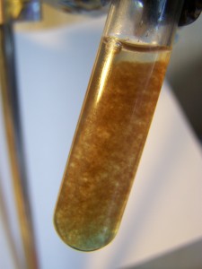 A reaction of the oral sample solution with copper sulfate.