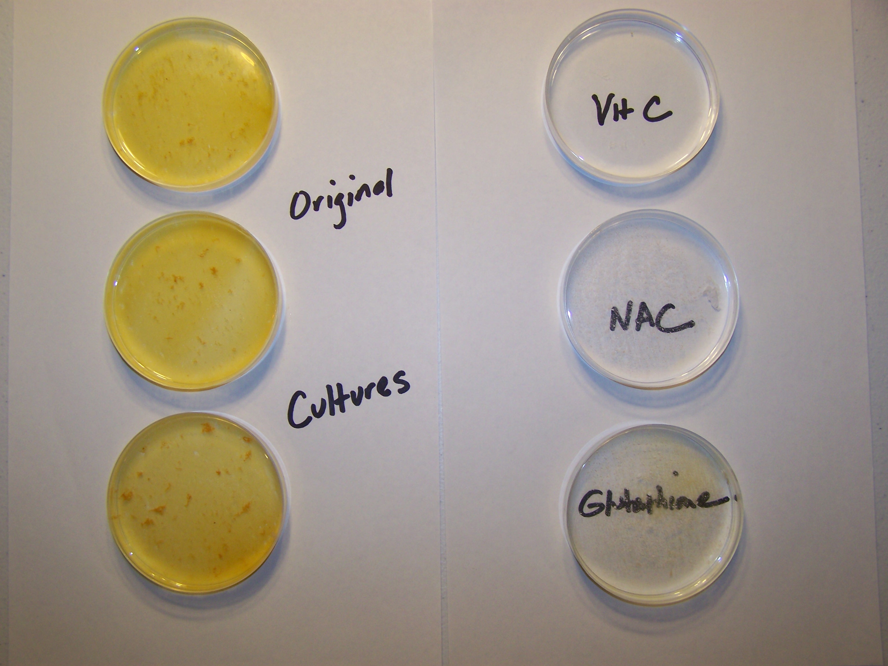 Growth Inhibition Achieved