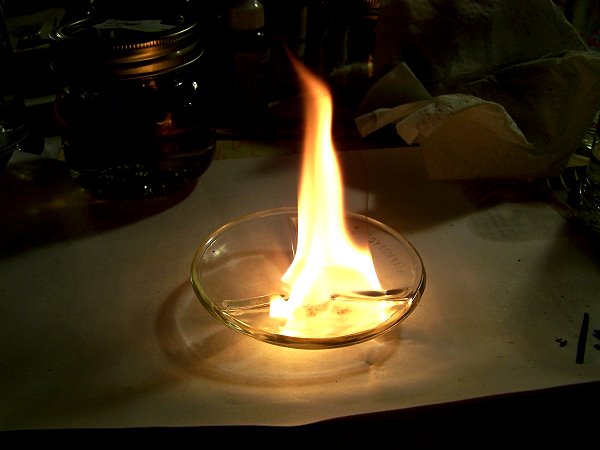 Lipid Combustion Tests 1