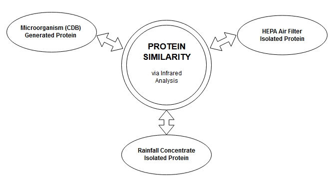 Lead_Diagram.jpg