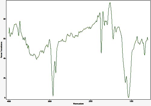 Tertiary Rainwater Analysis : Questions of Toxicity