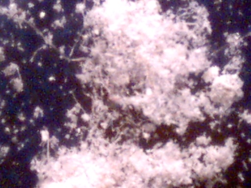 SUB-MICRON PARTICULATES ISOLATED