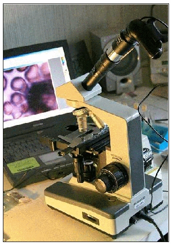 Instructions for Boosting Your Microscope’s Power to Examine Your Own Samples