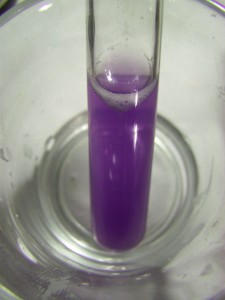 A positive Biuret test result using whey